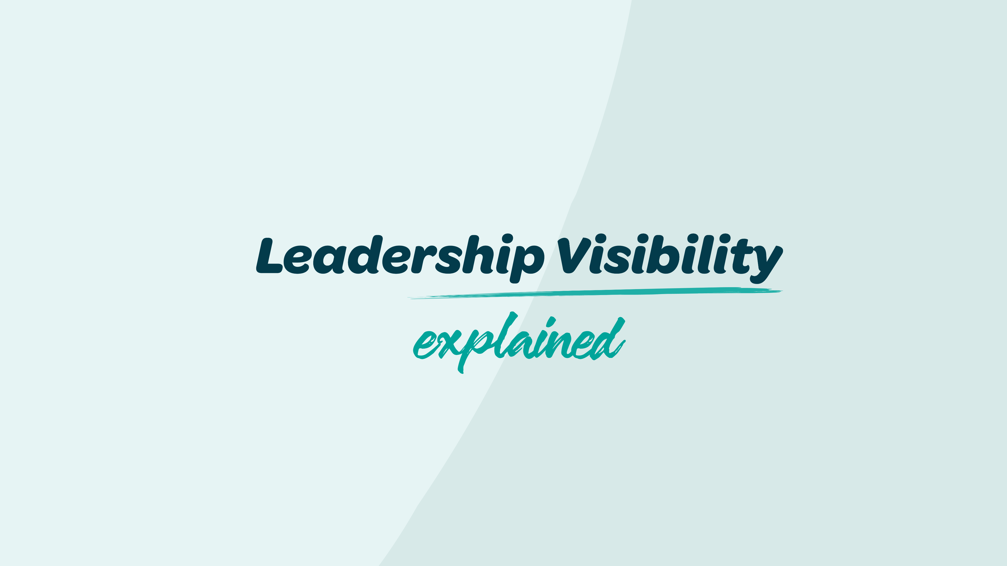Leadership Visibility ~ Explained tour preview